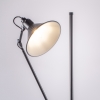 торшер loft lightstar 765717