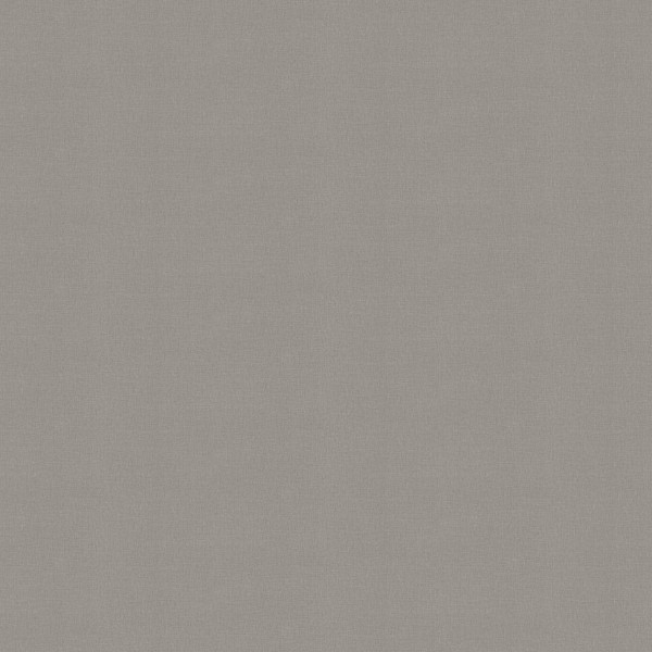 A101312_1