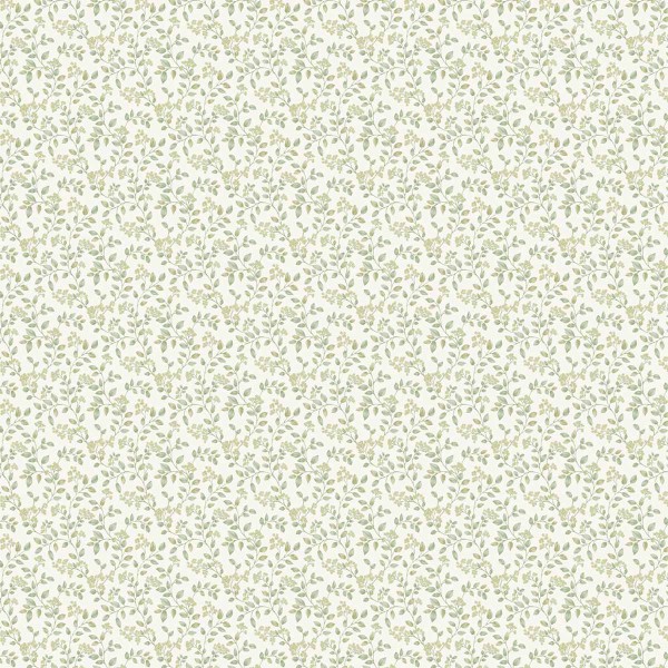 IC 3014_1