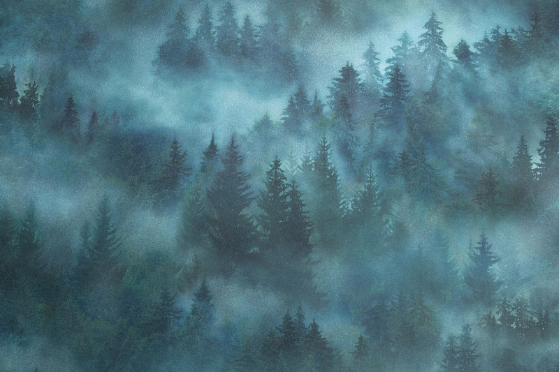 допкартинка