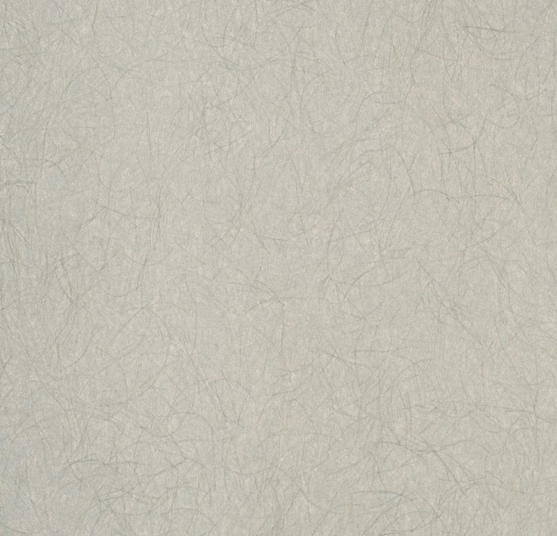 Обои Bernardo Bartalucci Legend 5068-7