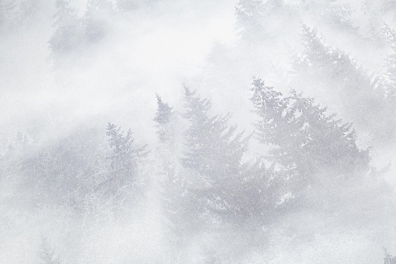 допкартинка