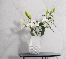 допкартинка