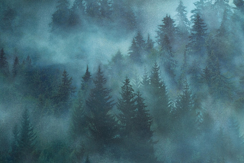 допкартинка