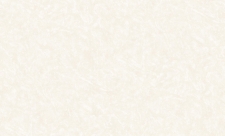 Обои Roberto Borzagi King 90114-2