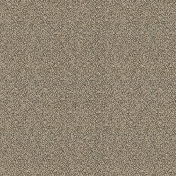52504_1