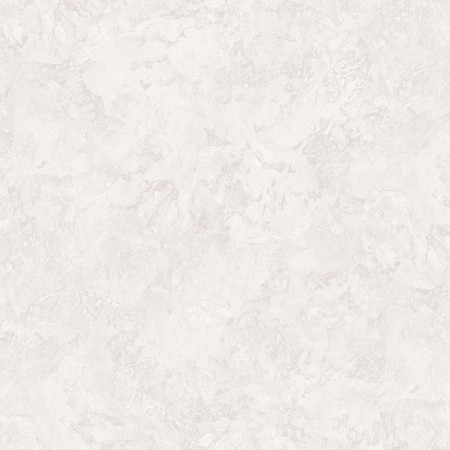 A75503