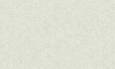 Обои Roberto Borzagi King 90114-6